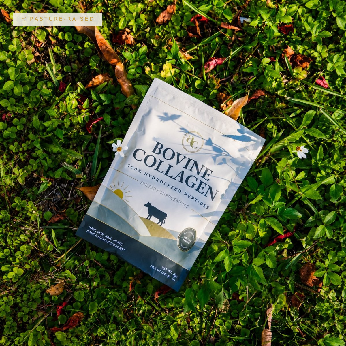 Bovine Collagen Peptides Bag - Aleta Collagen